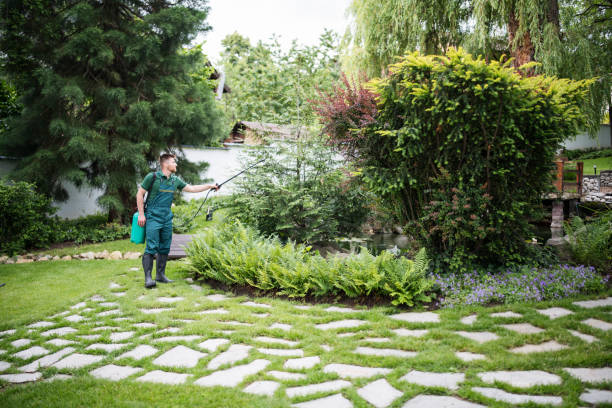 Best Pest Control for Homes  in Alexandria, IN
