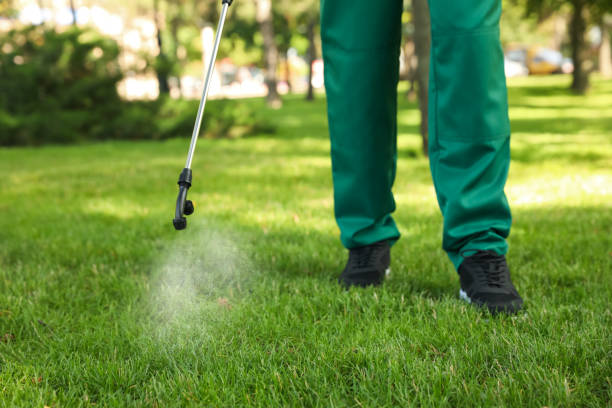 Best Pest Control Near Me in Alexandria, IN