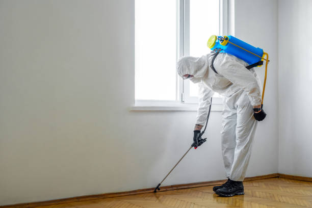 Best Pest Prevention Services  in Alexandria, IN