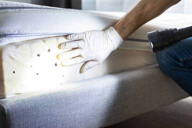 Professional Pest Control in Alexandria, IN