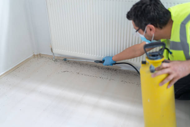 Best Residential Pest Control  in Alexandria, IN